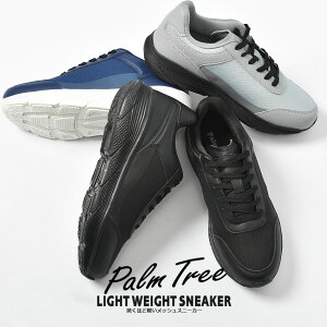 p[c[ yʃXj[J[ Xj[J[ Y ubN  lCr[  O[ PALM TREE PT-310 t  H ~ I[V[Y 25.5 26 26.5 27 27.5 28 cm C V[Y y K ʋ ʊw jO 