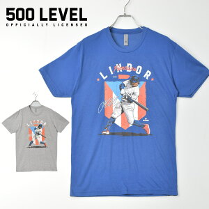 500LEVEL BNLCROY-XX-0059-050-14 FRAN.LINDOR RY ����T�V���c �����Y 500LEVEL BNLCROY-XX-0059-050-14 �E�G�A �g�b�v�X ���� T�V���c NEW YORK METS �j���[���[�N�E���b�c FRANCISCO LINDOR �t�����V�X�R�E�����h�[�A MLB ���W