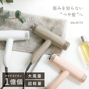 AGbe GXeeBbNCIhC[ wAhC[ fB[X zCg  J sN ANLIETTE ESTHETIC ION DRYER AN-004 }CiXCI  TCN ቷ x 啗 