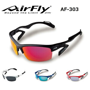 yAirFlyzGAtC m[YpbhXX|[cTOX AF-303 VTChpbh jp jZbNX