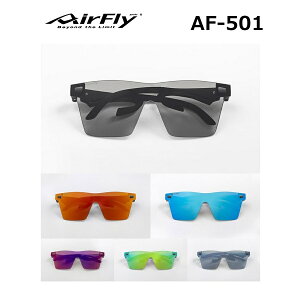 yAirFlyzGAtC m[YpbhX X|[cTOX AF-501 XtbgY AEghA Lv JWATOX