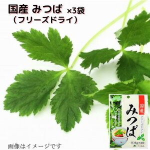 ݂ t[YhC Y i0.15g×4j z      g؂ ~j pbN