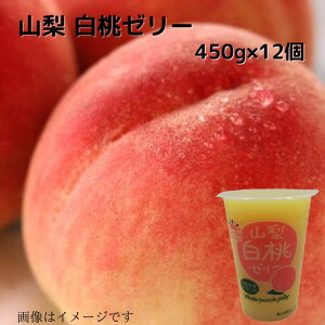 R [[450g  蕨 v[g XC[c 퉷  Mtgp Mtg rbN W{ fJ[[ [[     R