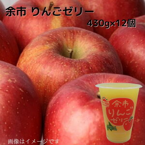 kC]s 񂲃[[430g  蕨 v[g kC kCXC[c kCʕ kCʎ kCt[c 퉷  Mtgp Mtg rbN W{ fJ[[ [