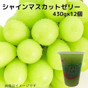 VC}XJbg [[ 430g  蕨 v[g }XJbg Ԃǂ YXC[c Yʕ Yʎ t[c 퉷  Mtgp Mtg rbN W{ fJ[[ [