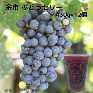 kC ]sԂǂ[[430g  蕨 v[g kC kCXC[c kCʕ kCʎ kCt[c 퉷  Mtgp Mtg rbN W{ fJ[[ [