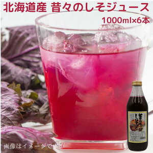 kCY Ԃgp@́X̂W[X 1000ml  Mtg 蕨 v[g kC kC h Ԏh Mtg Mtgp