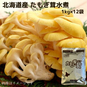 kCY  1kg   kC kC ۑ 퉷 ς̂ ̂  ϖ  n    ^M_P ^M ^M^