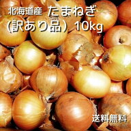 【予約商品】北海道産 たまねぎ （訳あり品） 10kg 送料無料 サイズお任せ 自家用 北海道 北海道野菜 北…