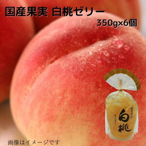 Yʎ  ʎ[[350g×6  蕨 v[g Yʕ Yt[c 퉷  Mtgp Mtg 
