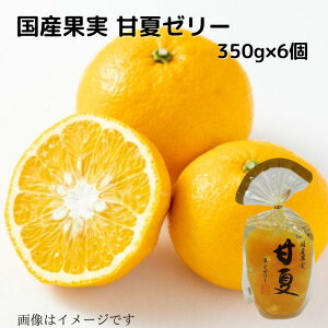Yʎ É ʎ[[ 350g×6  蕨 v[g Yʕ Yt[c 퉷  Mtgp Mtg É ܂Ȃ ÉĊ ܂Ȃ