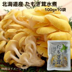 kCY  100g×10   kC kC ۑ 퉷 ς̂ ̂  ϖ  n    ^M_P ^M ^