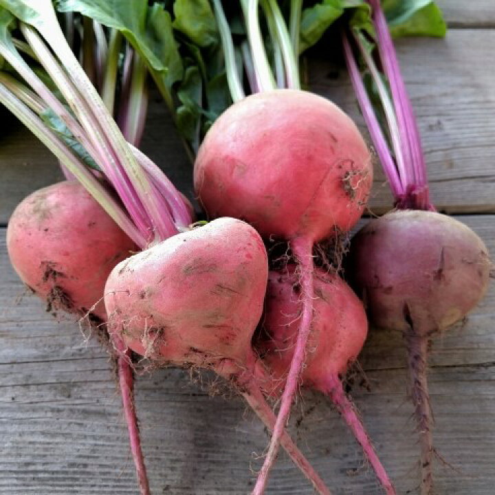 北海道産 ビーツ水煮 0g 3袋 国産 日本産 北海道野菜 トレンド野菜 野菜 スーパーフード ロシア料理 ボルシチ ウクライナ料理 スープ ポタージュ ビシソワーズ サラダ ピクルス スイーツ スムージー 常温 奇跡の野菜 簡単野菜 ついに再販開始 北海道産 ビーツ水煮 0g 3袋 国産 日本産 北海道野菜 トレンド野菜 野菜 スーパーフード ロシア料理 ボルシチ ウクライナ料理 スープ ポタージュ ビシソワーズ サラダ ピクルス スイーツ スムージー 常温 奇跡の野菜 簡単野菜 ついに再販開始