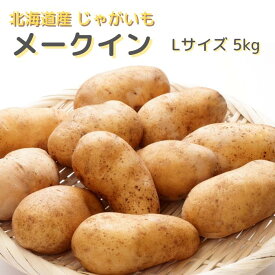 【予約商品】北海道産 じゃがいも メークイン Lサイズ 5Kg 送料無料 ギフト 贈り物 北海道野菜 ポテトサラダ フライドポテト カレー 肉じゃが