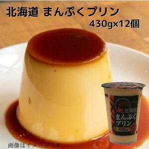 kC ܂Ղv 430g×12  蕨 v[g XC[c 퉷 JX^[hv  Mtgp Mtg rbN W{ fJ v Ղ 