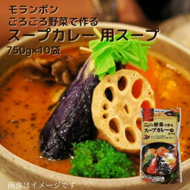 モランボン ごろごろ野菜で作る スープカレー 用スープ 750g×10袋 鍋1回分 3〜4人前 ストレートタイプ ポーク・チキンの旨みとスパイスを効かせたコク深い味わい スープ スープカレー 鍋スープ 鍋たれ たれ 野菜鍋