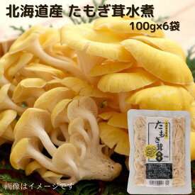 北海道産 たもぎ茸水煮 100g×6袋 送料無料 お取り寄せ 北海道 北海道野菜 長期保存 常温 水煮きのこ きのこ 水煮 水煮野菜 野菜 ご当地 たもぎ たもぎ茸 たもぎだけ タモギダケ タモギ茸 タモギタケ たもぎたけ