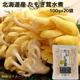 北海道産 たもぎ茸水煮 100g×20袋 送料無料 お取り寄せ 北海道 北海道野菜 長期保存 常温 水煮きのこ きのこ 水煮 水煮野菜 野菜 ご当地 たもぎ たもぎ茸 たもぎだけ タモギダケ タモギ茸 タモギタケ たもぎたけ