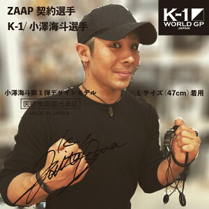 yzN@ lbNXZAAP Slico×K-1EVCl 1e X|[clbNX y ewcg |\lEAX[gp lbNX VRlbNX ClbNX A