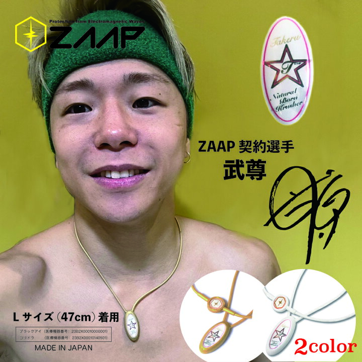 楽天市場】【公式】健康機器 ネックレスZAAP Slico×武尊 2023モデル 