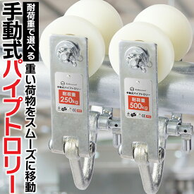【国際規格品】手動式パイプトロリー 単管用 2タイプから選べる！ 定格荷重:250kg 500kg適用パイプ径:35～60mm チェーンブロック用 レバーホイスト用 0.25t 0.5t 回転式キャスター付