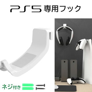 PS5 p tbN Cz Rg[[ [ SONY PlayStation 5 fW^ fBXN ȃXy[X ~ 萫 bN  Vv lWt