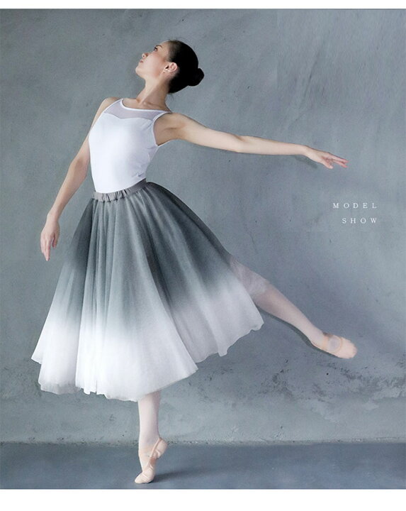 バレエ スカート 大人 無地 単品 ウェア 透け感 ジュニア ダンス レオタード 練習用 ラテンダンス おしゃれ 舞台衣装 バレエ スカート 大人 無地 単品 ウェア 透け感 ジュニア ダンス レオタード 練習用 ラテンダンス おしゃれ 舞台衣装