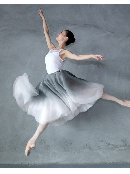 バレエ スカート 大人 無地 単品 ウェア 透け感 ジュニア ダンス レオタード 練習用 ラテンダンス おしゃれ 舞台衣装 バレエ スカート 大人 無地 単品 ウェア 透け感 ジュニア ダンス レオタード 練習用 ラテンダンス おしゃれ 舞台衣装