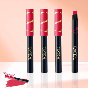 excel GNZ bvX[c LS05 [Yy^ × 3Zbg