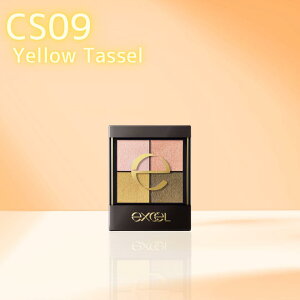 excel �G�N�Z�� ���A���N���[�Y�V���h�E CS09 �C�G���[�^�b�Z�� �p���b�g�A�C�V���h�E
