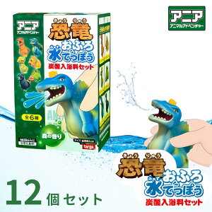 AjA ӂ됅łۂ Y_Zbg × 12Zbg BOX̔