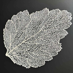 `}bg _ }bg [t S[h Vo[ hC[ PVC [X t^ vCX}bg  AeB[N NVbN  G i [bp Y ~ ԕr~ e