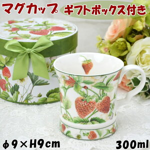 }OJbv  bh CA[f MtgBOX}OJbv 300ml Mtg{bNXt mH Xgx[ ĂƂ  R[q[Jbv eB[Jbv  C Rbv Mtg 