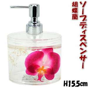 \[vfBXyT[ sNI[Lbh Ӓ AN Ԑ Tj^[ \[v |v {g Vv[ Lb` gC  [Y KNG KN KNObY  NA Mt