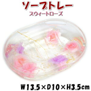 \[vg[ XEB[g[Y AN ԃsN p[v  X[[Y Tj^[ \[vfBbV Ό Lb` gC [Y KNG KN KNObY  N