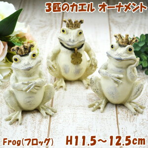 tbO Frog 3Zbg JG 3CZbg u K[f I[ig IuWF AC{[LV} kishima gI  ^ K[fjO  Aj} u  K^ 킢  C
