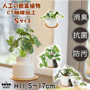 GNA O[i[Ct STCY LA[eBtBVO[ CTG}H ΐlHϗtA R h L }CiXCI {bNX RNt Mtg  CeAG