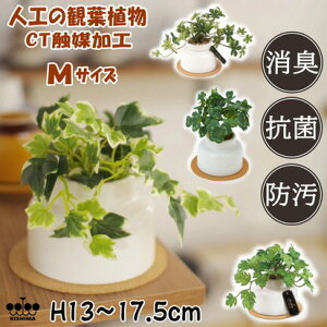 GNA O[i[Ct MTCY LA[eBtBVO[ CTG}H ΐlHϗtA R h L }CiXCI {bNX RNt Mtg  CeAG