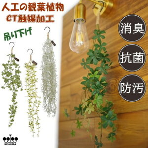 OXbO GNA ݂艺p LA[eBtBVO[ CTG}H ΃nMO lHϗtA R h L N[o[ ACr[ XpjbVX VK[oC Mtg