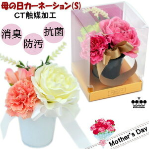 J[l[V LA[eBtBVt[ STCY  CTG} KNAWt[ sN  킢 NAMtg{bNXt [Y  v[g  AW