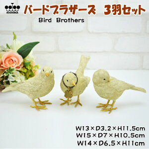 o[huU[Y 3HZbg o[h K[f I[ig IuWF AC{[ 3CZbg Aj}Y K[fjO Ƃ u  K^ 킢  CeAG j Vz