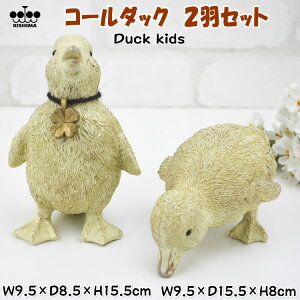 R[_bN K[f I[ig qǂ 2HZbg IuWF AC{[Aq 2CZbg Aj}Y K[fjO q LbY u  K^ 킢  CeAG j