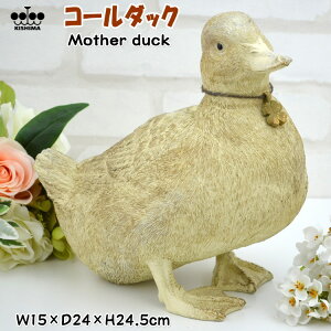 R[_bN K[f I[ig e 1H IuWF AC{[Aq ꂳ Aj}Y K[fjO u  K^ 킢  CeAG j Vzj LV} kishima 