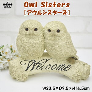 tNE EFJ I[ig Owl Sisters AEVX^[Y K[f IuWF AC{[u Aj}Y K[fjO  K^ N nbs[ Y 킢  CeAG