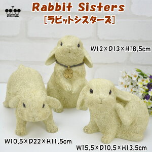 3C I[ig Rabbit Sisters rbgVX^[Y K[f IuWF AC{[3HgI e ETM u Aj}Y K[fjO lt̃N[o[  K^ N nbs[ 킢
