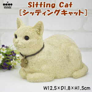 L I[ig Sitting Cat VbeBOLbg K[f IuWF AC{[˂ Lbg u Aj} K[fjO lt̃N[o[  K^ N nbs[ 킢  C