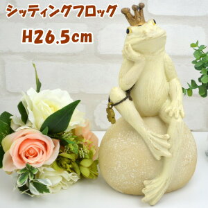 VbeBOtbO Sitting Frog JG K[f I[ig IuWF AC{[LV} kishima  ^ K[fjO  Aj} u  K^ 킢  CeAG 