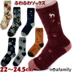 ӂӂ\bNX hbg t[W[ gILbg ubN O[ x[W J[L lCr[ IW bhnoa family [\bNX C fBX  H~  g