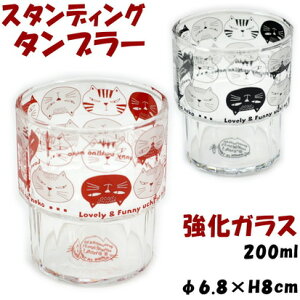 { E`LX^bLO^u[ bh ubN 200mlnoa family OX Rbv KX 킢 mH  LG LObY ˂ lR Lbg mAt@~[ Mtg