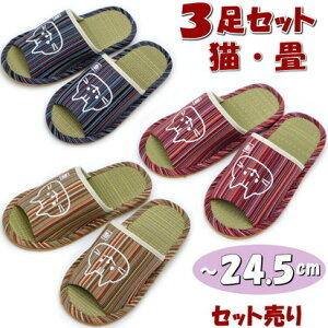 3Zbg Xbp  VRf LhJ a ȕ MTCY `24.5cmqp fB[X [V[Y  OJ  u₩ ^^~ C  VR  a wlp  t 